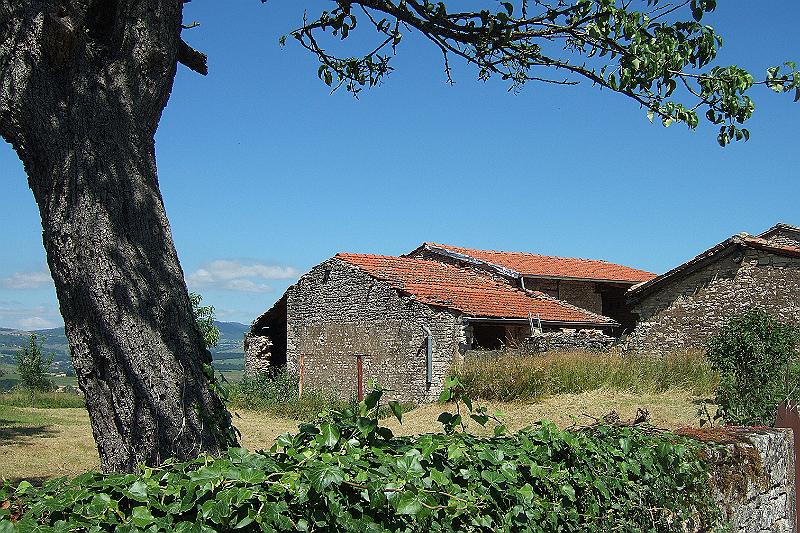 2010-06- (57).JPG